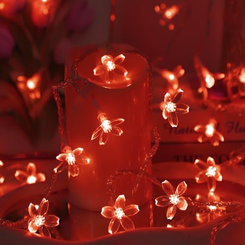 Battery Lighted & USB Plug in Fairy Flower String Lights, 10ft 30 LED Cute Cherry Blossom Lights with Timer Indoor Bedroom Party Wedding Christmas Easter Tree Branch Hanging Decorations (Red) - color: 10ft Red Flower Lights