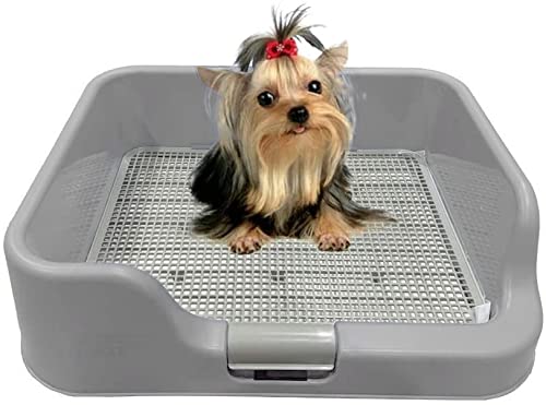 [DogCharge] Indoor Dog Potty Tray – with Protection Wall Every Side for No Leak, Spill, Accident - Keep Paws Dry and Floors Clean (Tray Only, Grey) - color: Grey