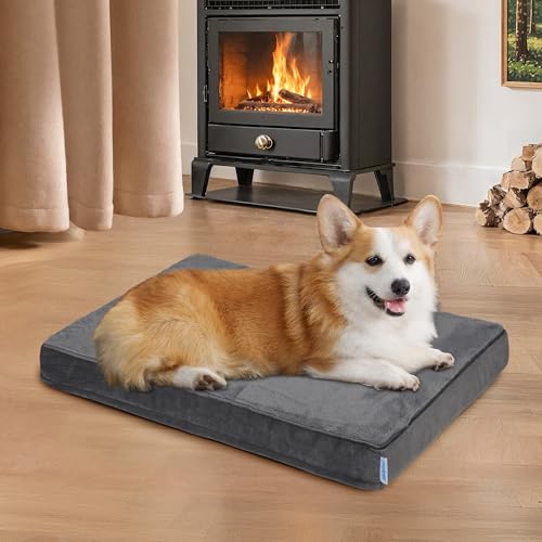 Dog Bed for Medium Dog - Orthopedic Pet Beds with Memory Foam, Waterproof Removable Washable Cover with Non-Slip Bottom, Grey, 30" L x 20" W x 3" H - color: Dark, size: 30"l X 20"w X 3"h