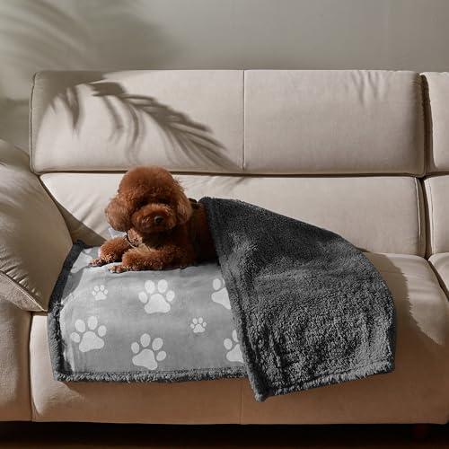 Kritter Planet Waterproof Dog Blanket, Reversible Water Proof Pet Blanket for Couch, Bed & Car, Washable Couch Covers for Medium Dogs - Protects Furniture from Fur, Dirt, and Accidents - color: Paw Print, size: 50"x30"