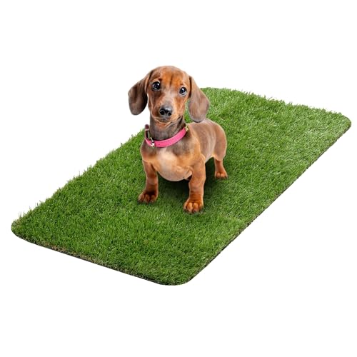 Ottomanson Pet Training Collection Easy Clean Indoor/Outdoor Reusable Training Grass Pad, 15" x 30", Green