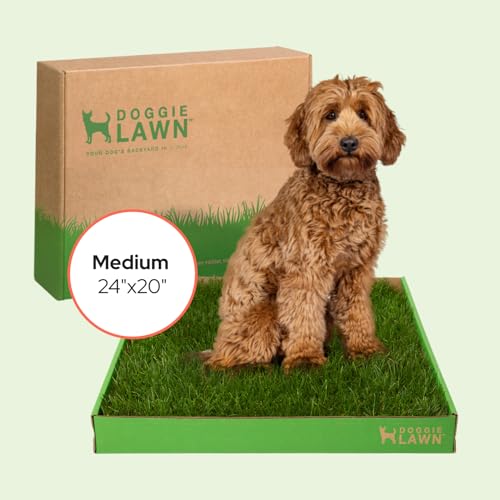 DoggieLawn Real Grass Puppy Pee Pads - Potty Training Pads for Dogs & Puppies - Indoor Grass Dog Potty for Apartments & Bad Weather - Natural Living Grass - Medium 24 x 20 Inches - Made in USA - size: Medium 24x20
