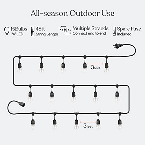 Brightech Ambience Pro LED String Lights - 48 Ft Commercial Grade Patio Lights Outdoor Waterproof - Heavy Duty Porch String Lights for Backyard, Christmas - Dimmable Vintage Edison 1W 15 Bulbs, - size: 48 FT - 15 Bulbs