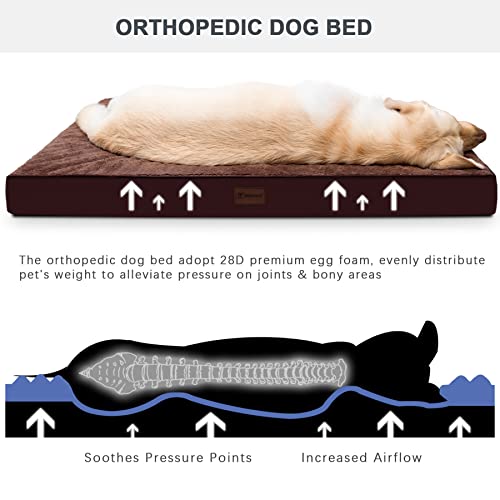 Waterproof Dog Bed Medium Size Dog Orthopedic Dog Beds for Crate with Removable Washable Cover Egg-Crate Foam Pet Pad Mat with Anti-Slip Bottom, 35x22 Inch, Brown - color: Brown, size: 35"L x 22"W x 3"H
