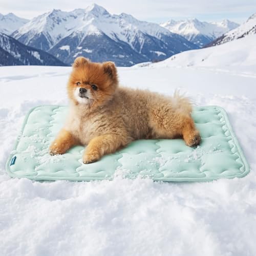 Bedsure Cooling Mat for Small Dog, Q-Max>0.5 Thin Breathable Cold Crate Pad for Puppy and Cat, Portable Washable Kennel Bed for Active Pet with Chill Soothing Fabric to Rapid Cooling, 24x18, Green - color: Light Green, size: 24" x 18" (Small)