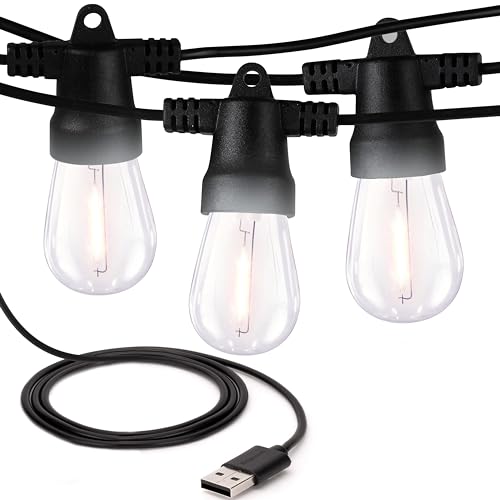 Brightech Ambience Pro USB Powered String Lights - 24 Ft Commercial Grade Waterproof String Lights, Outdoor Shatterproof Patio Lights for Camping, Christmas, Backyard, Porch - 1W LED Soft White Light - color: (3000K) Soft White