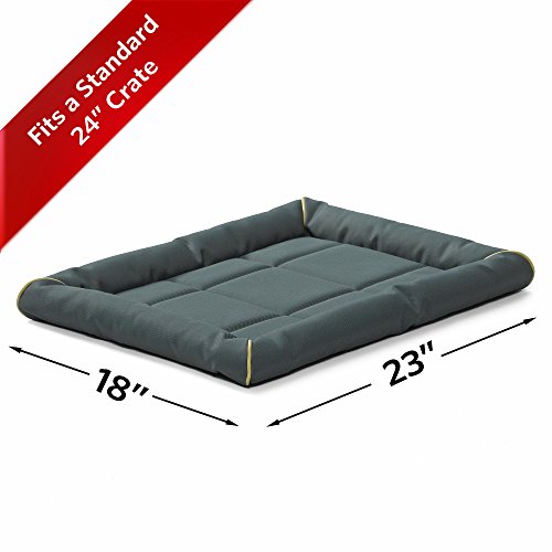 MidWest Homes for Pets Maxx Dog Bed for Metal Crates, 24 Inch Green - color: Green, size: 24 Inch