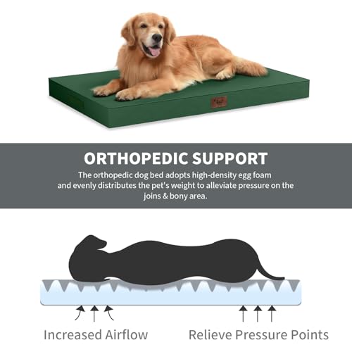 Outdoor Dog Bed for Small Dogs & Cats, Waterproof Dog Crate Mat Orthopedic Egg Crate Foam with Washable Removable Oxford Cover, Dark Green - color: Dark Green, size: 23.0"L x 17.0"W x 2.5"Th