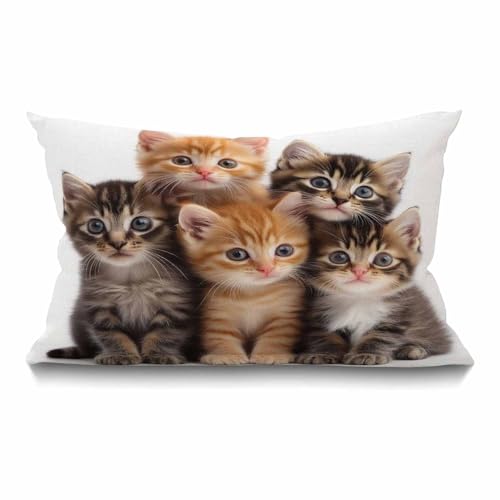 Smooffly Cute Cats Farmhouse Oblong Rectangle Kittens Family Cats Decorative Throw Pillow Case,12"x20" inch - color: Swn06