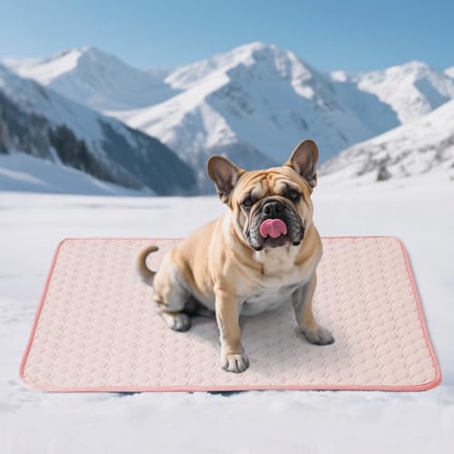 Soulbond Cooling Mat for Medium Dogs - 29"x40" Washable Cooling Pad for Dogs & Cats, QMAX>0.3, Anti-Slip Bottom, Portable Summer Cool Pet Bed Pad for Outdoor/Indoor/Cars/Travel Use, Pink - color: Pink, size: 29" x 40" (Medium)