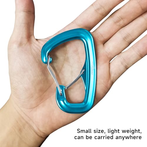 Heavy Duty Carabiner Clip Hook 8KN (1763 lbs), 2 PCS Ultra-Light Aluminum Caribeaners with Double Door D Ring Shape, for Hammock, Camping, Hiking, Backpacking, Dog Leash, Keychain Clip - style: 2#Lake Blue-2pc