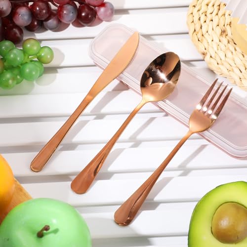 Yinkin 4 Pack Portable Travel Utensils Set with Case Reusable Stainless Steel Silverware Flatware Camping Cutlery Include Fork Spoon Knife for Work School Dishwasher Safe(Clear Series) - color: Clear Series