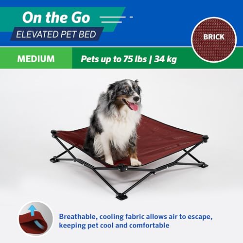 Coolaroo On-The-Go Elevated Dog Bed - Foldable Pop-Up Travel Dog Bed with Breathable, Moisture-Resistant Fabric, Carry Bag Included, Lightweight & Portable, Brick, Medium - color: Brick, style: Medium