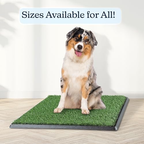 Artificial Grass Puppy Pee Pad for Dogs and Small Pets - 20x25 Reusable 4-Layer Training Potty Pad with Tray - Dog House and Pet Supplies by PETMAKER - size: Medium 4-layer System