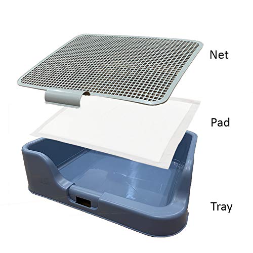 PS KOREA] Indoor Dog Potty Tray - with Protection Wall Every Side for No Leak, Spill, Accident - Keep Paws Dry and Floors Clean (Wine) - color: Wine