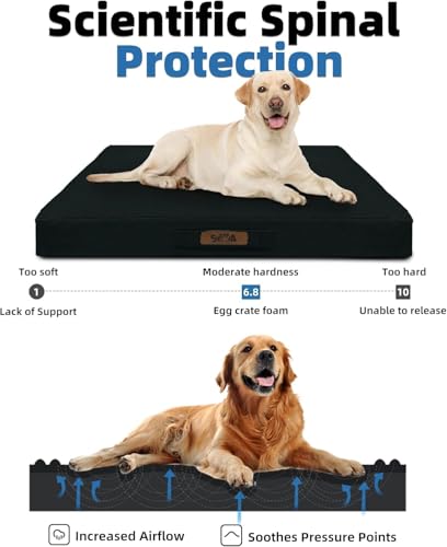 Sytopia PET Toys Black