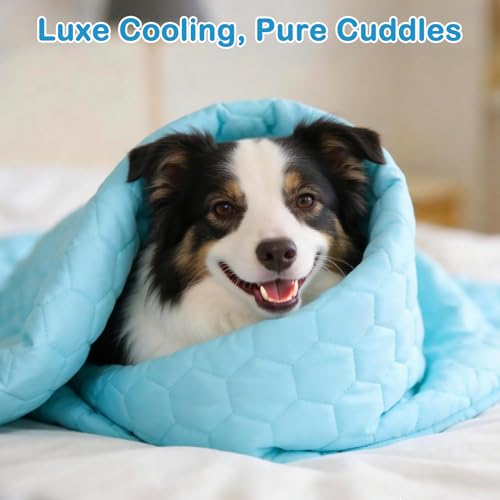 Vivifying Cooling Blanket for Dogs, Q-MAX>0.5 Reversible Ice Silk Dog Cooling Mat with Waterproof Layer, Soft Pet Throw Blanket for Couch, Bed, Crate, Floor, Breathable Summer Pet Pad, 40 x 60 Inches - size: L(40"x60")