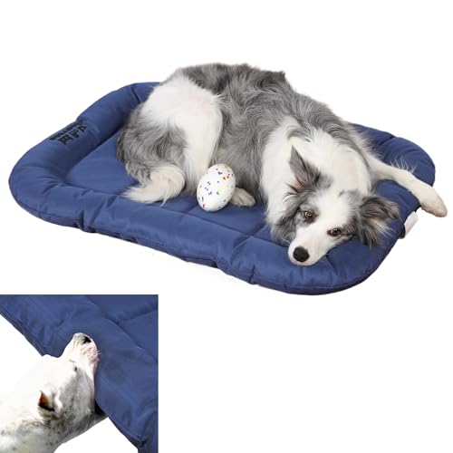 Durable Outdoor Dog Bed with Pillow Around Curling Sleep Fully Waterproof Indoor Cat Bed Crate Mat Stable Kennel Pad, for Pets (Blue, X-Large(42x29in)) - color: Blue, size: X-Large(42x29in)