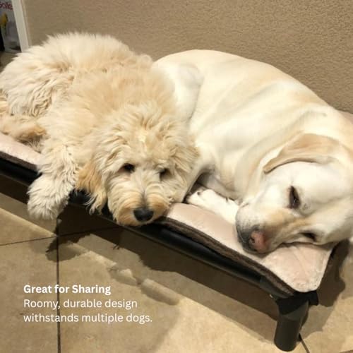 Kuranda Chewproof Elevated Dog Bed - Walnut PVC - 25" x 18" - Heavy Duty Vinyl - Burgundy - color: Burgundy, size: 25" x 18" - Walnut PVC