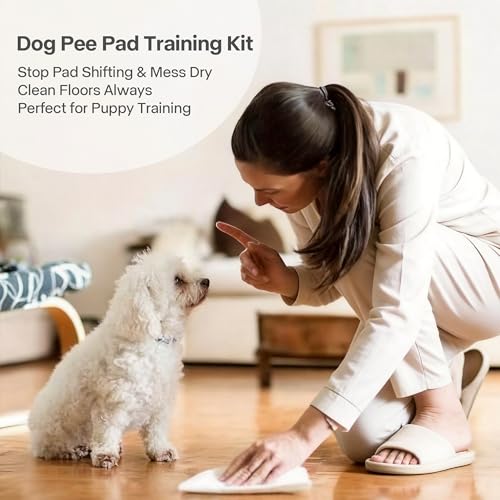 Pawise Upgraded Dog Pee Pad Holder for Puppy, Puppy Pad Holder Tray, Pet Training Pee Pad, Indoor Potty Tray for Senior Dogs, Dog Toilet for Newborn Puppies, Includes 4 Pee Pads,23.5" x 23.5" - size: Medium