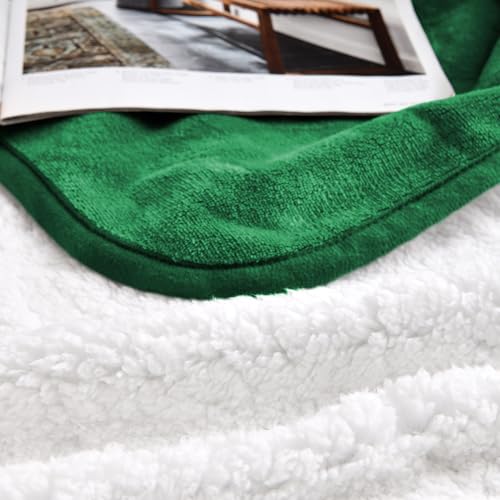 Waterproof Blanket for Bed Couch Sofa, Soft Liquid Pee Proof Pet Blanket for Dog Puppy Cat, Reversible Sherpa Fleece Furniture Protector (Green, 30x40 inches) - color: Green, size: 30x40 inches