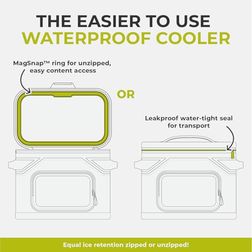 CORE Magnetic Leak Proof Soft Cooler with Waterproof Zipper | Insulated Bag Portable Ice Chest Box | Best Soft Cooler for Food & Beverages for Tailgating, Car Camping, Travel, and Family Beach Picnics - color: Charcoal, size: 18 Can