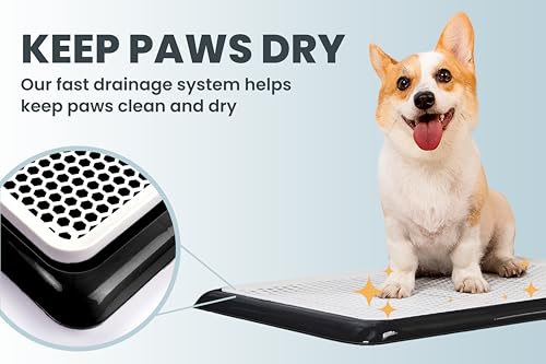 Pet Awesome Dog Potty Tray/Puppy Pee Pad Holder 25”x20” Indoor Wee Training for Small and Medium Dogs - color: Black