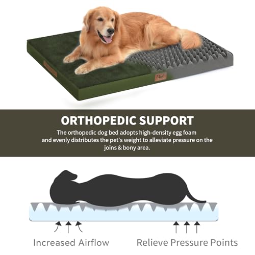 Comfort Dog Bed for Small Dogs & Cats, Waterproof Dog Crate Mat Orthopedic Egg Crate Foam with Washable Removable Cover, Olive Green - color: Olive Green, size: 23.0"L x 17.0"W x 2.5"Th