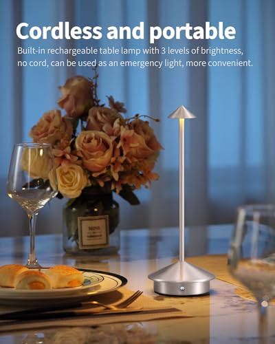 Modern Cordless Table Lamp Set of 2, Portable LED Desk Lamps, 5000mAh Rechargeable Battery Operated Lighting for Bedroom Dining Room Restaurant Coffee Shop Camping Night Light (Brushed Nickel) - color: Brushed Nickel (2 Pack)