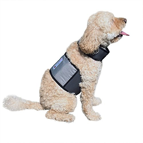 CoolerDog Dog Cooling Vest & Cooling Collar – Ice Vest for Hot Weather Heat Relief, Re-Freezable Pure Water Inserts (Small 18”–22” Girth) - size: S