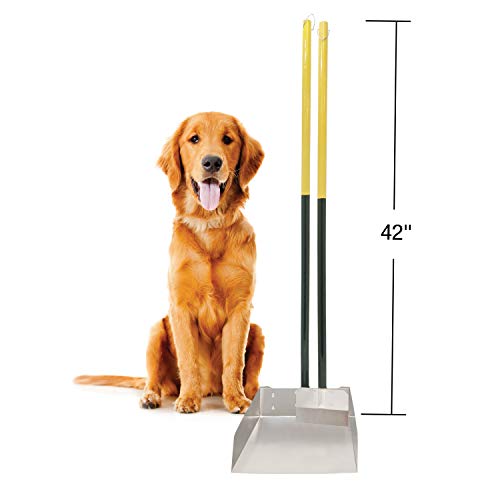Four Paws Wee-Wee Pooper Scoopers for Dogs l Outdoor Rake l Spade & Pan l Pooper Scooper Set - size: Large, 9.5" x 10" x 38", style: Spade & Pan Set
