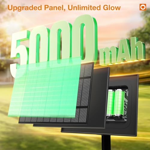 addlon 81FT(75+6) Solar String Lights Outdoor with 1FT Bulb Spacing, 75+2 Commercial G40 LED Bulbs, Solar & USB Charging, Remote, Timable, Dimmable Waterproof Patio Lights for Balcony, Porch, Yard - size: 75+6FT(75 Sockets)