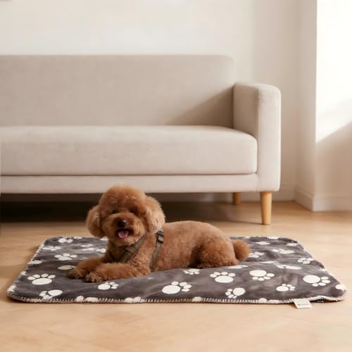 Kritter Planet Waterproof Small Dog Blanket, Paw Print Soft Puppy Blanket,Washable Furniture Protector, Dog Blanket for Car,Reversible Sherpa Fleece Couch Cover for Small Pets - color: Dark Grey Paw, size: 20x30 Inches