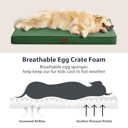 BFPETHOME Outdoor Dog Bed for Large Dogs, Waterproof, Orthopedic with Removable Washable Cover, Egg Crate Foam - 30 x 20in, Green - color: Green, size: 30.0"l X 20.0"w X 3.0"th