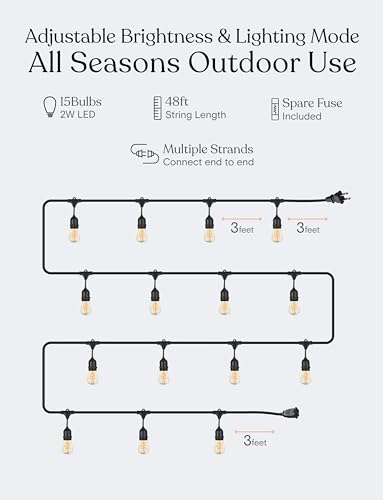Brightech Ambience Pro - Waterproof LED Outdoor String Lights - 15 Bulbs, Dimmable 2W Vintage Spiral Edison Bulbs - 48 Ft Commercial Grade Patio Lights Cafe Ambience in Your Backyard - style: 48 Foot - Spiral Bulbs - Soft White (2700K)