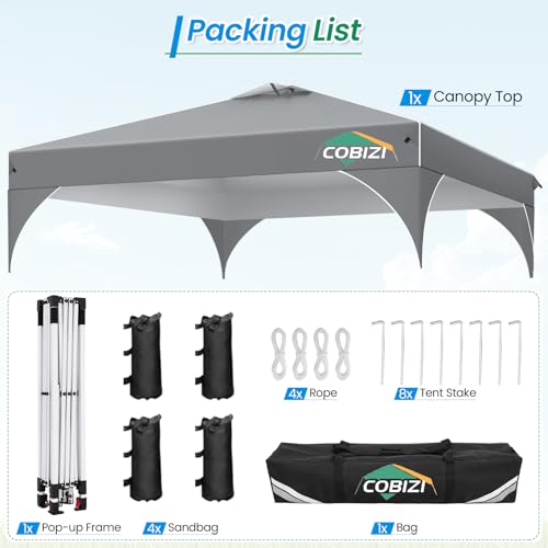 COBIZI 10x10 Pop Up Canopy with 3 Removable Sidewalls, Easy Pop Up Comercial Instant Canopy with One Push Center Lock, Waterproof Canopy with Sidewalls for Event, Rope & Stakes & Sandbags, Gray - color: Gray, size: 10x10ft (Old Model)