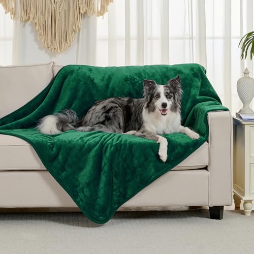Waterproof Blanket for Bed Couch Sofa, Soft Liquid Pee Proof Pet Blanket for Dog Puppy Cat, Reversible Sherpa Fleece Furniture Protector (Green, 50x60 inches) - color: Green, size: 50x60 inches
