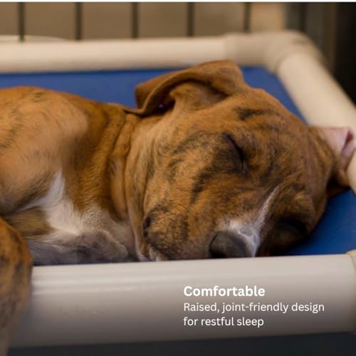 Kuranda Chewproof Elevated Pet Bed - Almond PVC - 25" x 18" - Cordura Nylon - Burgundy - color: Burgundy, size: 25" x 18" - Almond PVC
