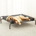 LEXTRO Elevated Dog Bed for Large Dogs – Indoor & Outdoor Raised Dog Cot Hammock with Breathable Mesh, Upgraded Installation Method, Off the Ground Lifted Elevated Pet Bed, Platform Frame Pet Cot