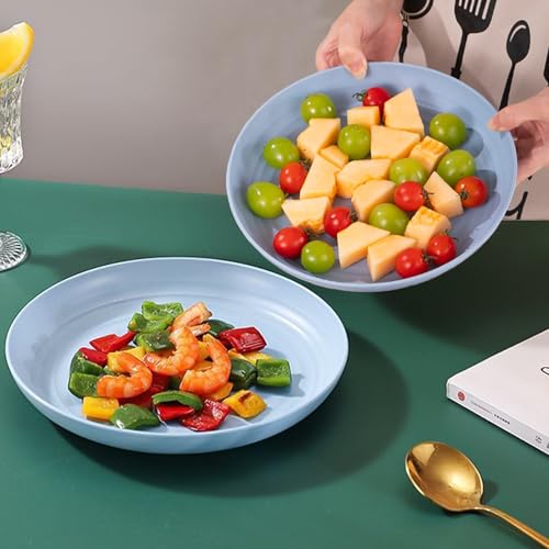 4 Pcs Unbreakable Wheat Straw Plates Set, 7.8 Inch Reusable Plastic Dinner Plates, Microwave Dishwasher Safe, Lightweight Plates for Kitchen Camping, BPA Free (Blue) - color: Blue