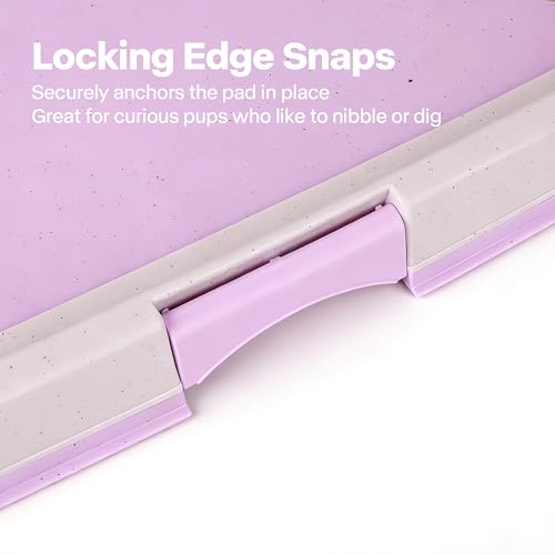 Pawise Dog Pee Pad Holder for Puppy, Puppy Pad Holder Tray, Pet Training Pee Pad, Indoor Potty Tray for Senior Dogs, Dog Toilet for Newborn Puppies, 23.5" x 23.5"，Purple - size: Small-Purple