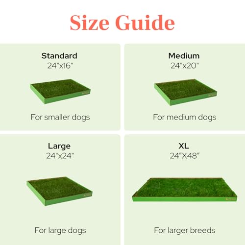 DoggieLawn Real Grass Puppy Pee Pads - Potty Training Pads for Dogs & Puppies - Indoor Grass Dog Potty for Apartments & Bad Weather - Natural Living Grass - XLarge 24 x 48 Inches - Made in USA - size: X-Large 24x48