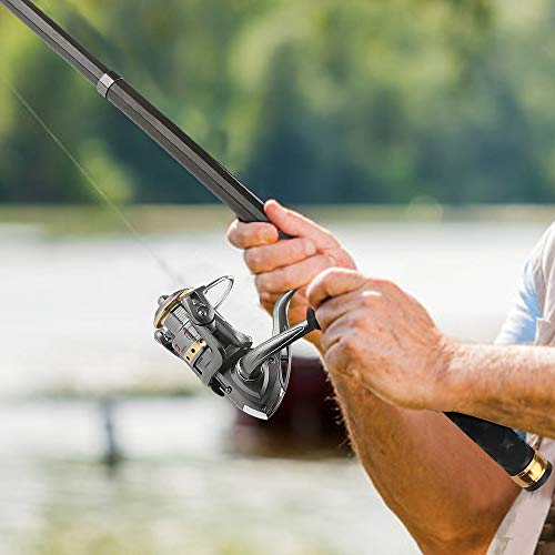 Fishing Rod Reel Combo Full Kit Telescopic Spinning Pole Set with Reel Line Lures Hooks Carrier Bag Saltwater Freshwater Fishing Gear Tool for Kids Adults Professional - color: Black-7.87FT