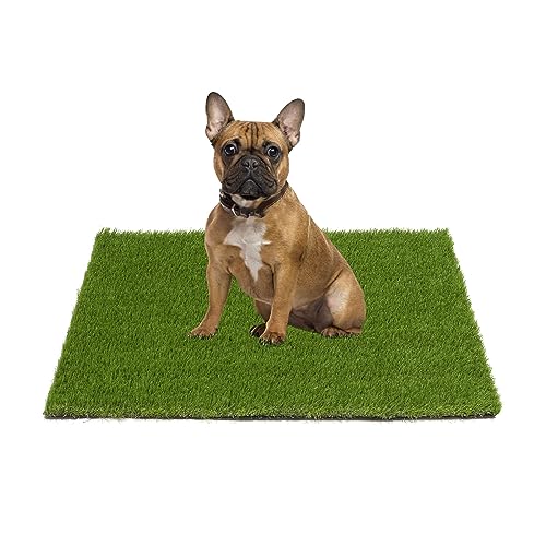 SHACOS Artificial Grass Pad for Dogs 20x25 inches Dog Pee Grass Potty Training Pads for Puppies Replacement Turf Reusable Dog Training Mat with Drainage Holes Outdoor Rug Patio Lawn Decoration