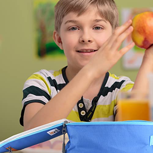 CaCTOUR Lunch Box Kids,2 Packs Insulated Lunch Bag for Girls Boys,Soft Bag Mini Cooler Back to School Thermal Reusable Lunch Bag for Work School Picnic (Blue & Purple) - color: 2pk Blue+Purple