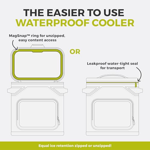 CORE Magnetic Leak Proof Soft Cooler with Waterproof Zipper | Insulated Bag Portable Ice Chest Box | Best Soft Cooler for Food & Beverages for Tailgating, Car Camping, Travel, and Family Beach Picnics - color: Mulberry, size: 36 Can