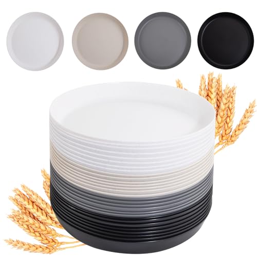 ejonirinjonir EI 16pcs Wheat Straw Dinner Plates Set,Unbreakable Plastic Plates,Reusable Lightwight Plastic Plate,Party Plate for Halloween,Family Dinners, Picnics, School-Black,White,Dark Grey,Beige - color: Four Color Wheat Straw Plates