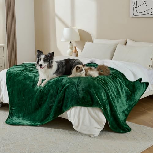Waterproof Blanket for Bed Couch Sofa, Soft Liquid Pee Proof Pet Blanket for Dog Puppy Cat, Reversible Sherpa Fleece Furniture Protector (Green, 50x60 inches) - color: Green, size: 50x60 inches