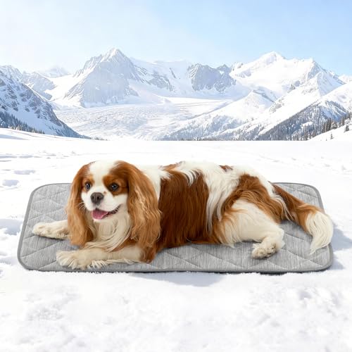 COZY KISS Dog Cooling Mat 20"x30" Q-Max>0.4, Waterproof Pet Bed Cover, Non-Slip Dog Bed Mat, Washable Cooling Pad for Small Dogs, Cats, Crate, Couch, Furniture Protector (Gray) - color: Gray, size: 20"x30"