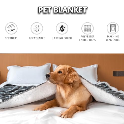 Waterproof Dog Blanket, Pattern Printing Super Soft Warm Fluffy Facecloth Sofa Car Bed Protector, Urine Proof Washable Outdoor Pet Blanket for Puppy Large Dogs & Cats(paw & Bone80*60) - color: Grey | Bone, size: X-Large